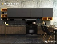 雅士林集成灶圖庫(kù)，集成灶廚房裝修效果圖