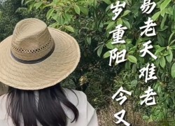 【重陽(yáng)節(jié)桂花糕】“桂花雨”落在松軟的米糕上，連著桂花蜜的甜味融化在舌尖上，這份獨(dú)屬于秋天的歡迎儀式，連帶著重陽(yáng)節(jié)的獻(xiàn)禮一起和大家分享！